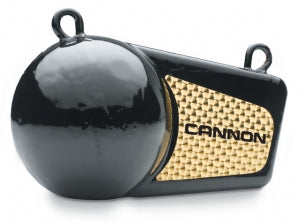 Cannon Flash Weights